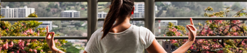 Mindfulness: entrenar la mente para trabajar y vivir plenamente